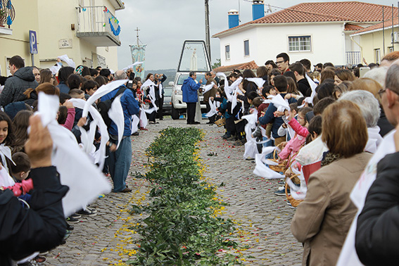 2016-05-12 IP 94amor